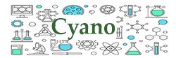 cyano